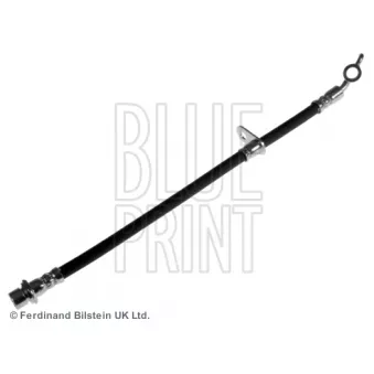 Flexible de frein arrière droit BLUE PRINT