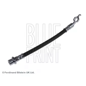 Flexible de frein BLUE PRINT