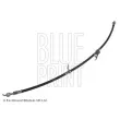 Flexible de frein avant droit BLUE PRINT ADT353401 - Visuel 1