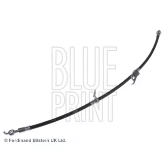 Flexible de frein avant droit BLUE PRINT