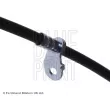 Flexible de frein avant droit BLUE PRINT ADT353401 - Visuel 2