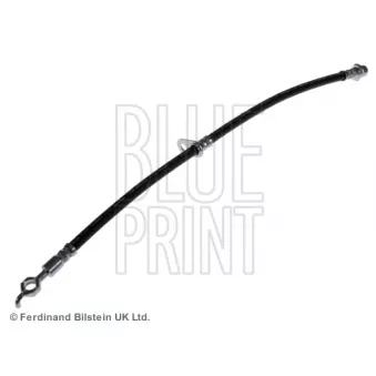 Flexible de frein avant droit BLUE PRINT