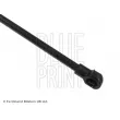 Vérin, capot-moteur BLUE PRINT ADT35816 - Visuel 2