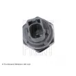 Indicateur de pression d'huile BLUE PRINT ADT36604 - Visuel 2