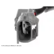 Capteur d'angle, vilebrequin BLUE PRINT ADT37224 - Visuel 2