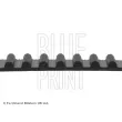 Courroie crantée BLUE PRINT ADT37506 - Visuel 2