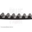 Courroie crantée BLUE PRINT ADT37509 - Visuel 2