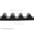 Courroie crantée BLUE PRINT ADT37511 - Visuel 2