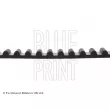 Courroie crantée BLUE PRINT ADT37518 - Visuel 2