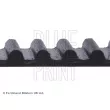 Courroie crantée BLUE PRINT ADT37521 - Visuel 2