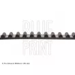 Courroie crantée BLUE PRINT ADT37530 - Visuel 2