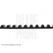 Courroie crantée BLUE PRINT ADT37541 - Visuel 2