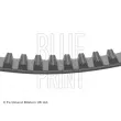 Courroie crantée BLUE PRINT ADT37543 - Visuel 2
