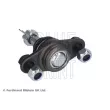 Rotule de suspension BLUE PRINT ADT38610 - Visuel 2