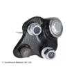 Rotule de suspension BLUE PRINT ADT38644 - Visuel 2
