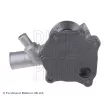Pompe à eau BLUE PRINT ADT39127 - Visuel 2