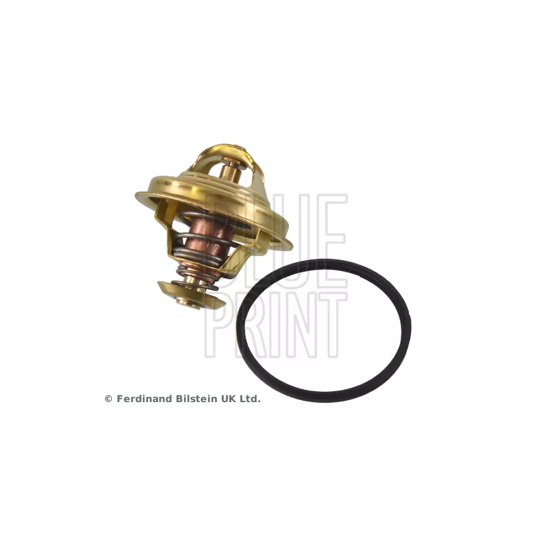 Thermostat d'eau BLUE PRINT ADT39202