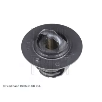 Thermostat d'eau BLUE PRINT ADT39203