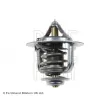 Thermostat d'eau BLUE PRINT ADT39204 - Visuel 2