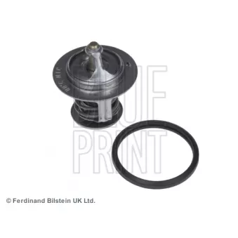 Thermostat d'eau BLUE PRINT ADT39205