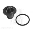 Thermostat d'eau BLUE PRINT ADT39207 - Visuel 1