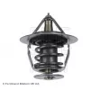 Thermostat d'eau BLUE PRINT ADT39207 - Visuel 2