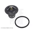 Thermostat d'eau BLUE PRINT ADT39209 - Visuel 1