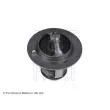 Thermostat d'eau BLUE PRINT ADT39210 - Visuel 1