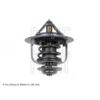 Thermostat d'eau BLUE PRINT ADT39210 - Visuel 2