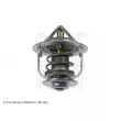 Thermostat d'eau BLUE PRINT ADT39212 - Visuel 2