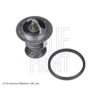 Thermostat d'eau BLUE PRINT ADT39214