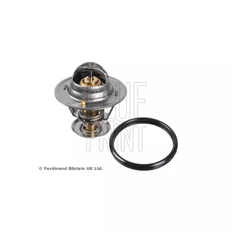 Thermostat d'eau BLUE PRINT ADT39216