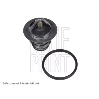 Thermostat d'eau BLUE PRINT ADT39218