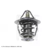Thermostat d'eau BLUE PRINT ADT39218 - Visuel 2