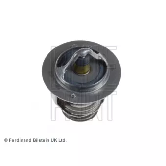 Thermostat d'eau BLUE PRINT ADT39219