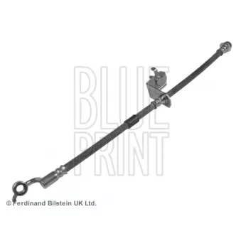 Flexible de frein avant droit BLUE PRINT ADZ95343