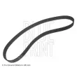 Courroie crantée BLUE PRINT ADZ97505 - Visuel 1