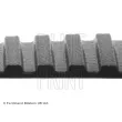 Courroie crantée BLUE PRINT ADZ97507 - Visuel 2