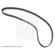 Courroie crantée BLUE PRINT ADZ97517 - Visuel 1
