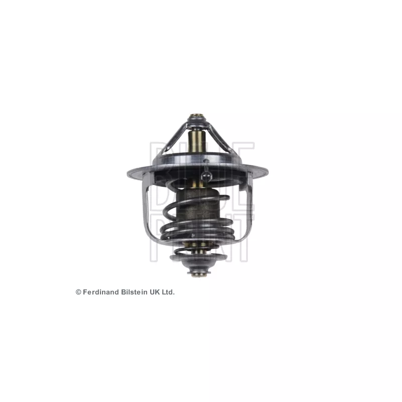 Thermostat d'eau BLUE PRINT ADZ99201
