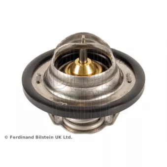 Thermostat d'eau BLUE PRINT ADZ99204