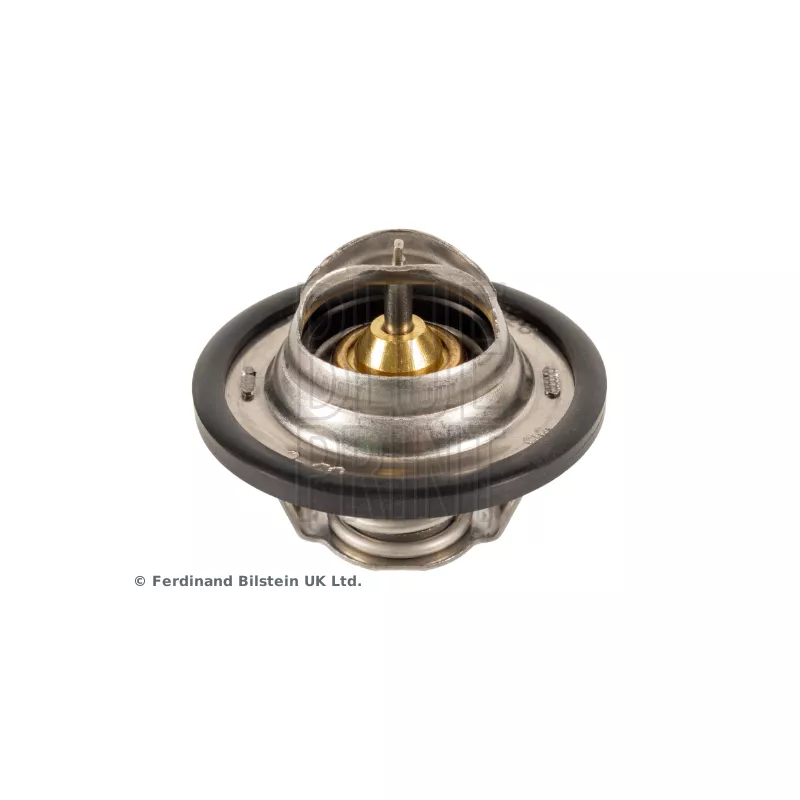 Thermostat d'eau BLUE PRINT ADZ99204