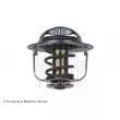 Thermostat d'eau BLUE PRINT ADZ99208 - Visuel 2
