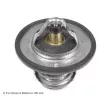 Thermostat d'eau BLUE PRINT ADZ99209 - Visuel 1