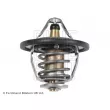 Thermostat d'eau BLUE PRINT ADZ99209 - Visuel 2
