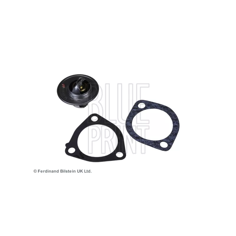Thermostat d'eau BLUE PRINT ADZ99211
