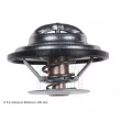 Thermostat d'eau BLUE PRINT ADZ99213 - Visuel 2