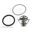 Thermostat d'eau BLUE PRINT ADZ99214 - Visuel 1