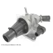 Thermostat d'eau BLUE PRINT ADZ99215C - Visuel 2