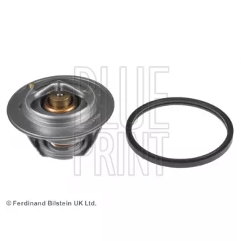 Thermostat d'eau BLUE PRINT ADZ99216